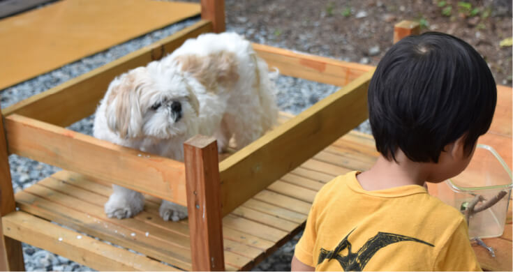 特徴4 イメージ